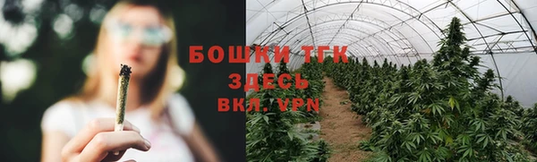 прущая мука Осинники